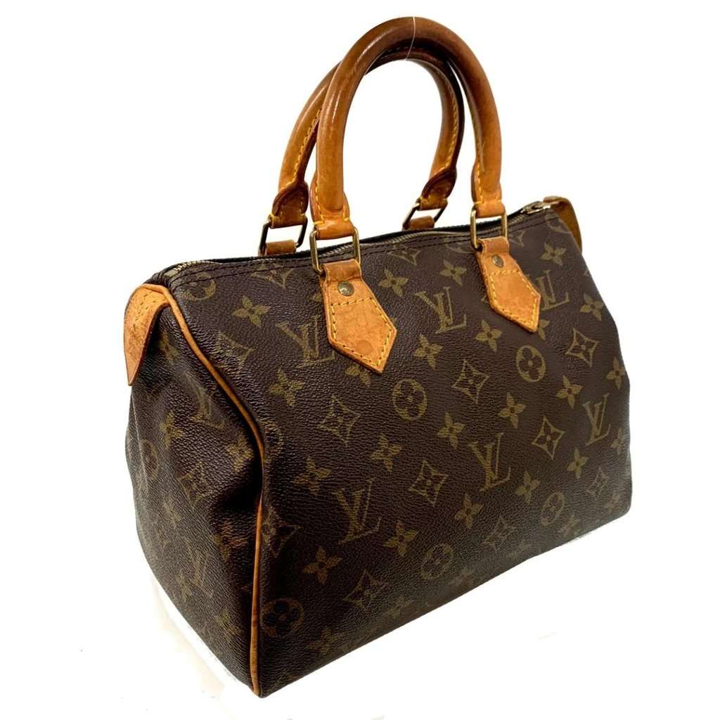 Louis Vuitton Monogram Canvas Speedy 25 Bag MultiColor Leather Good - Model View