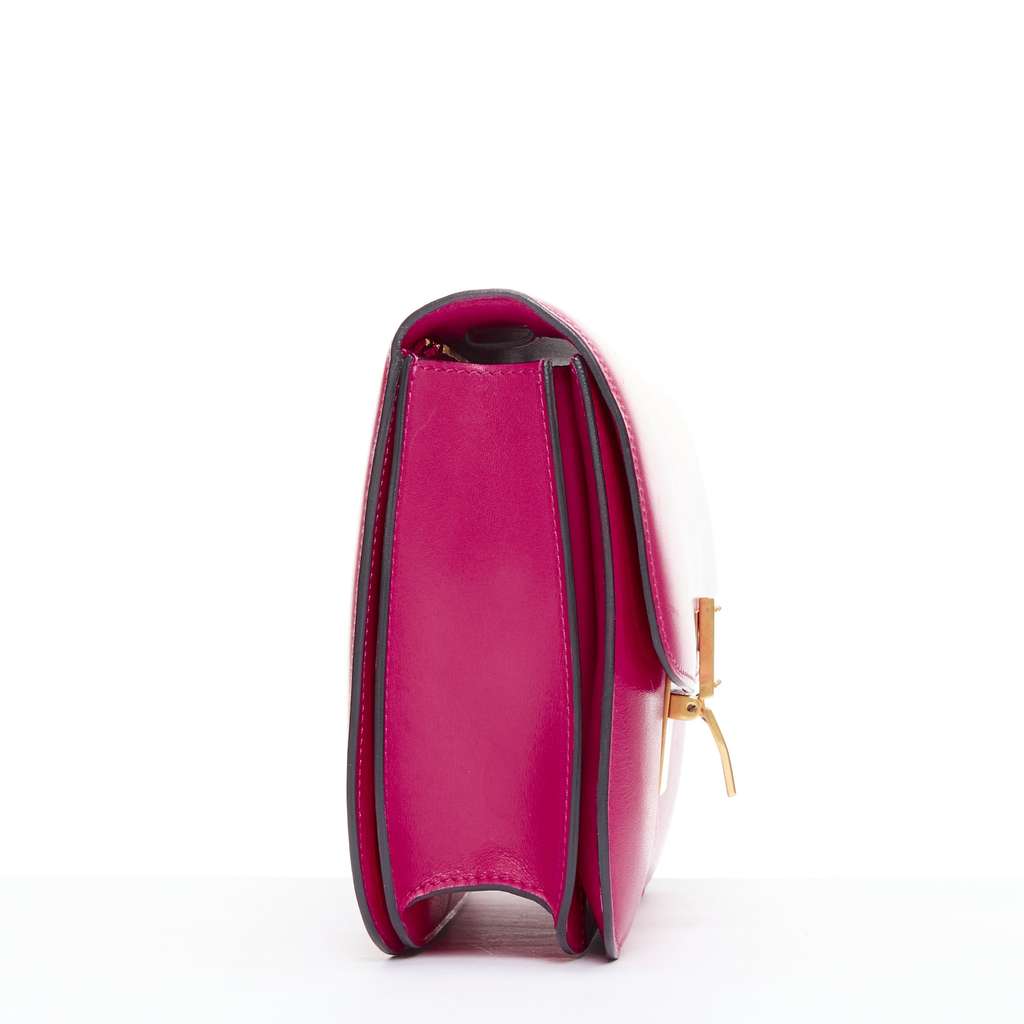 Celine Box Medium Pink Leather Good - Model View