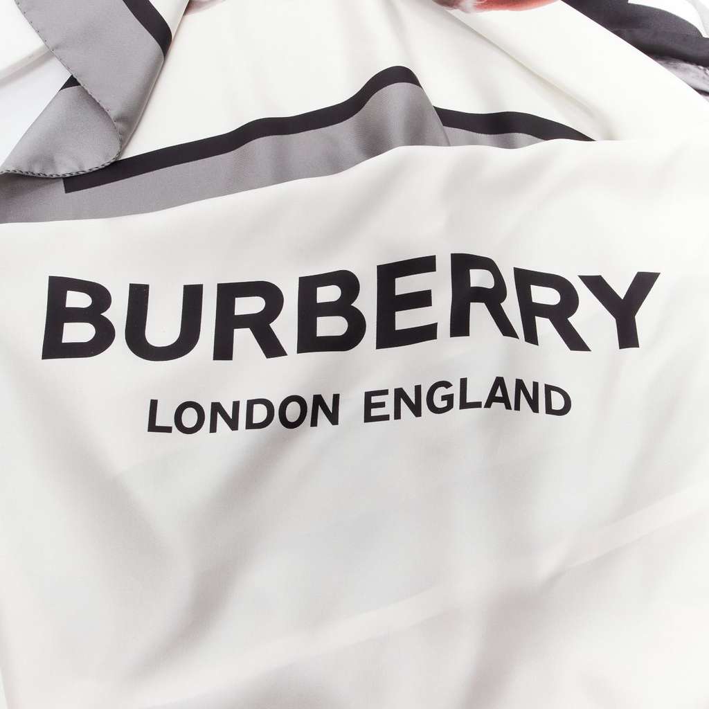 Burberry Unicorn Print Scarf MultiColor Silk Never worn, with tag - Back View