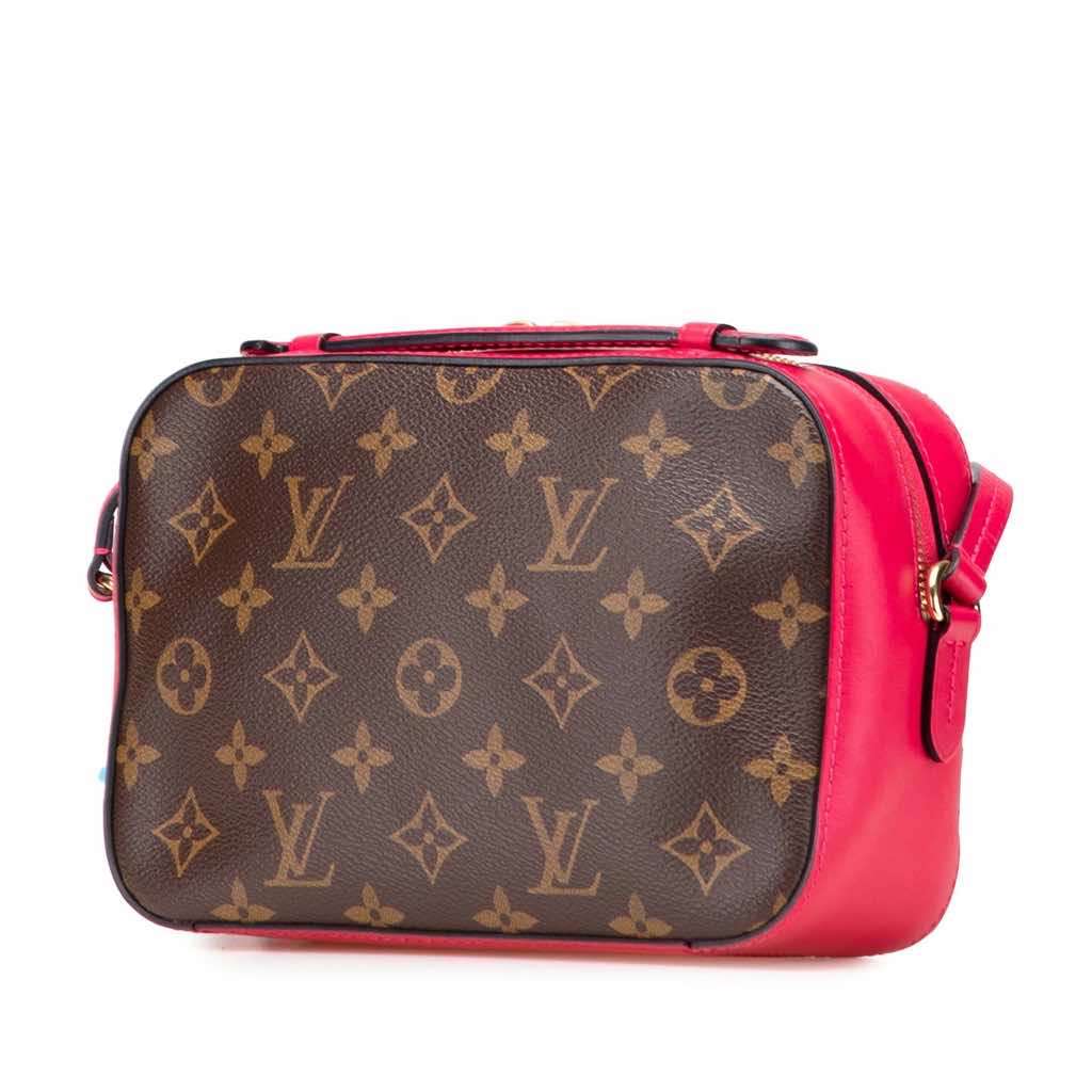 Louis Vuitton Monogram Saintonge Brown Canvas Very good - Back View