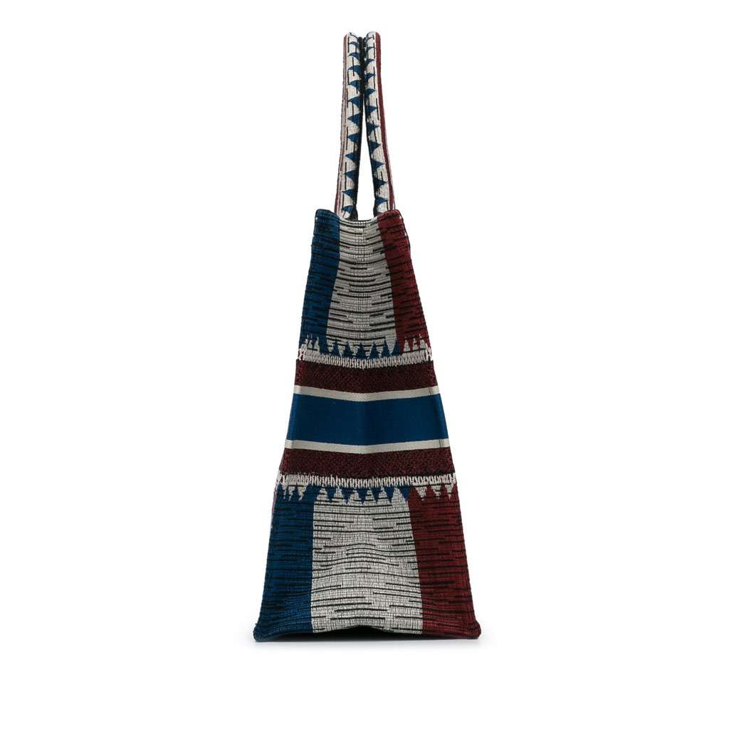 Dior Large French Flag Book Tote Blue Canvas Very good - Model View