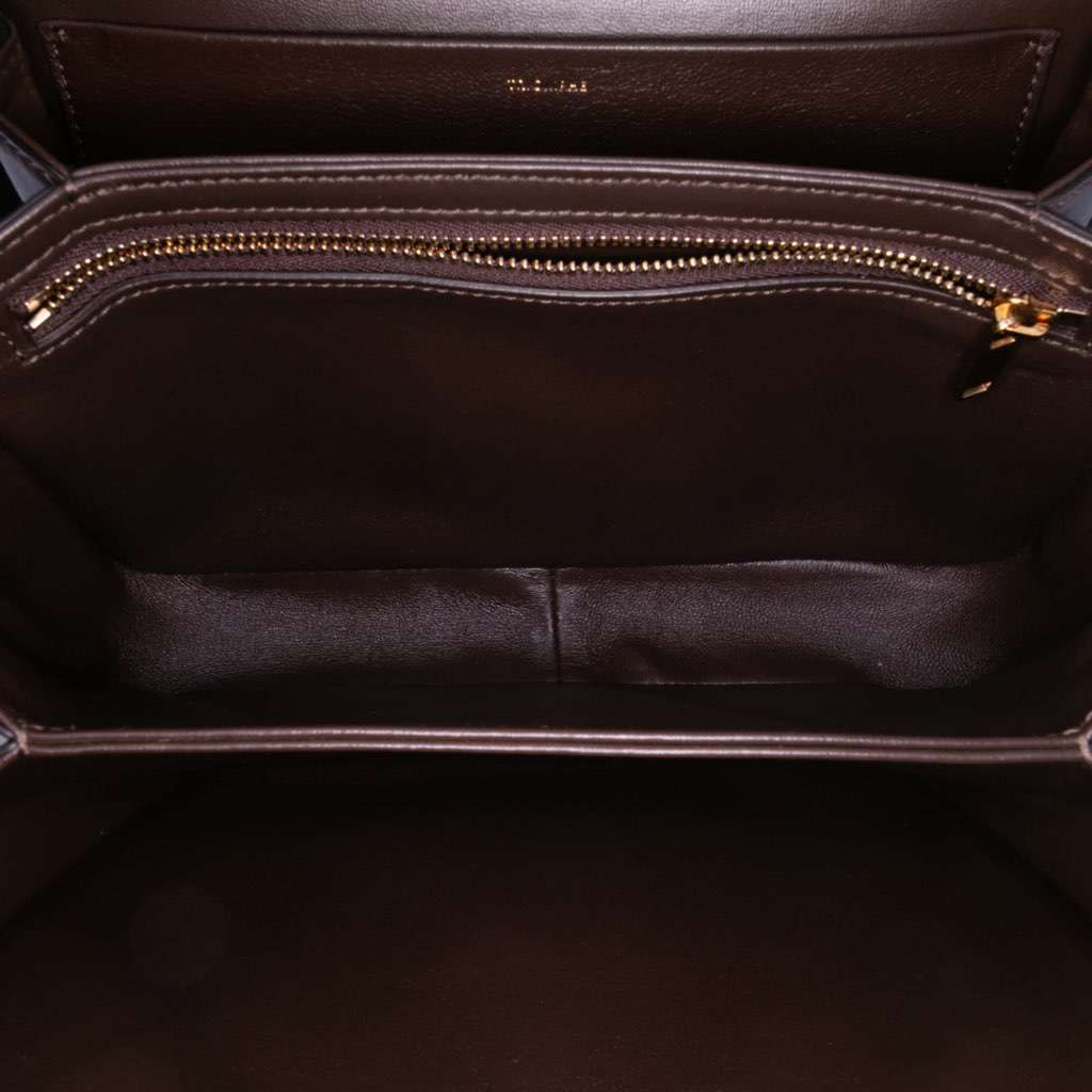 Celine Classique Shiny Calfskin Triomphe Crossbody Brown Leather Good - Model View