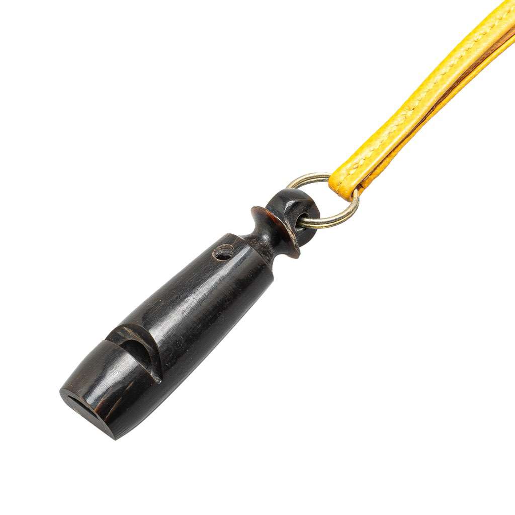 Hermès Leather Ultrasonic Dog Whistle Necklace Yellow Leather Good condition - Back View