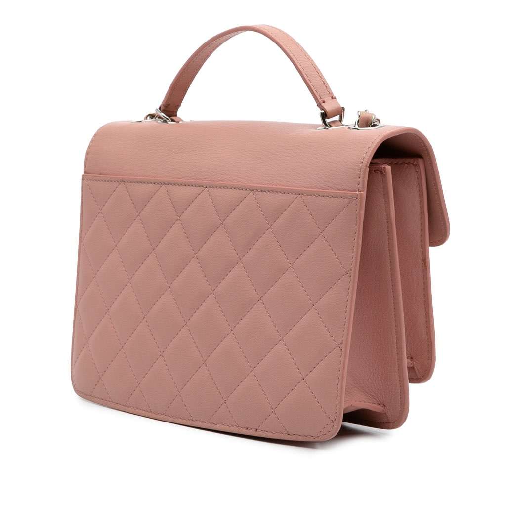 Chanel Large Quilted Goatskin CC Box Flap Pink Leather Good - Back View
