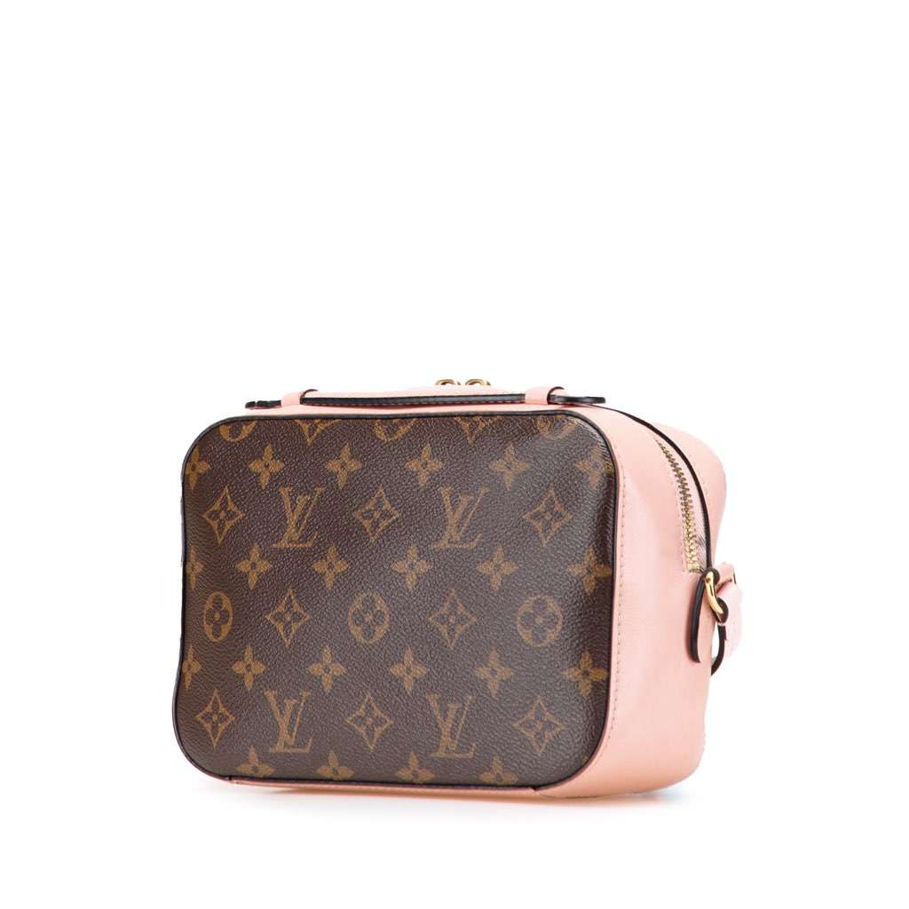 Louis Vuitton Monogram Saintonge Brown Canvas Good - Back View