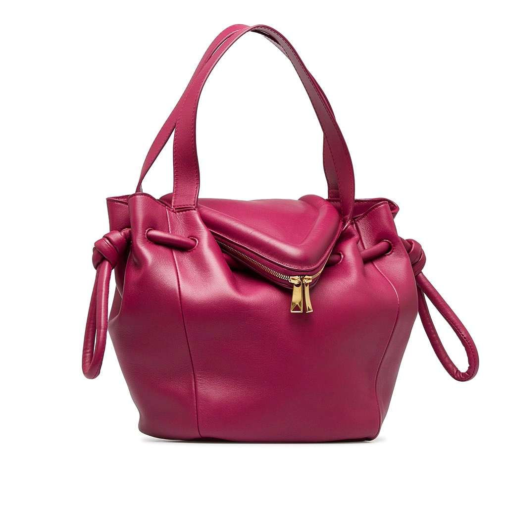 Bottega Veneta Beak Handbag Pink Leather Good - Back View