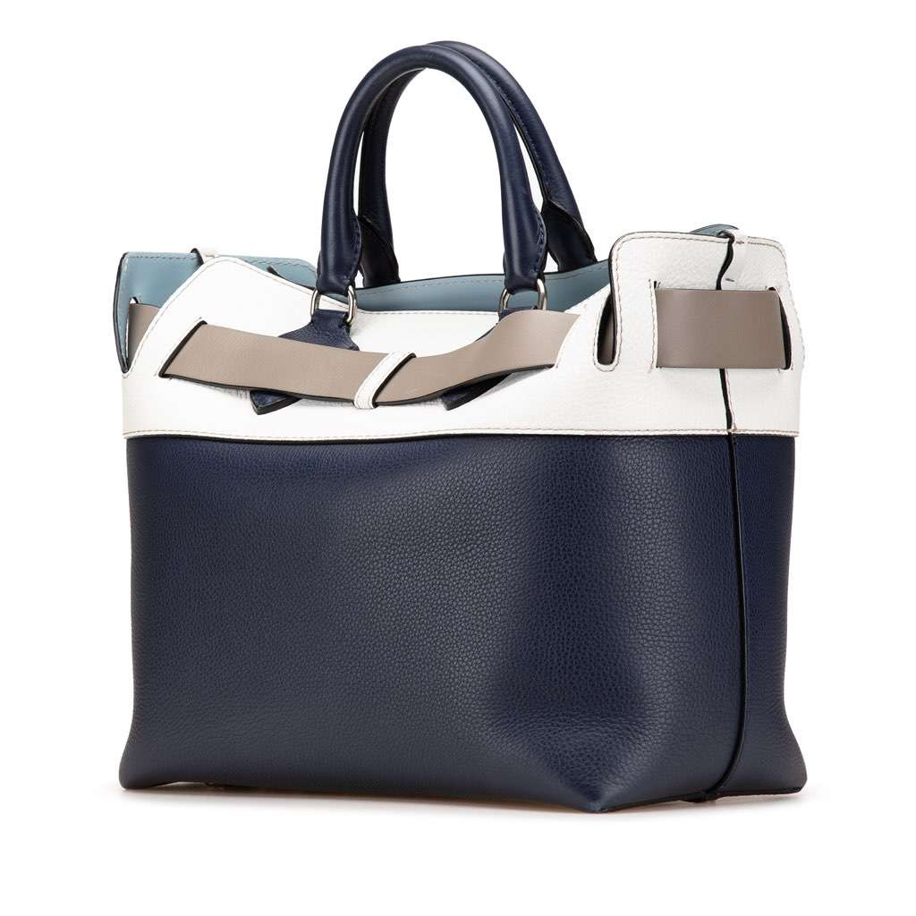 Burberry Medium Tricolor Leather Marais Belt Bag Blue Leather Good - Back View