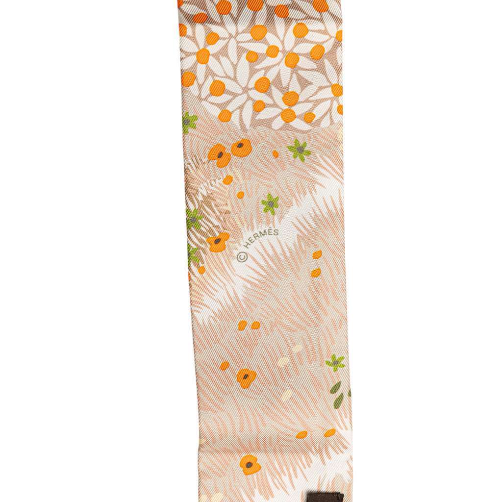 Hermès Dans un Jardin Anglais Silk Twilly Scarf Brown Silk Very good condition - Back View