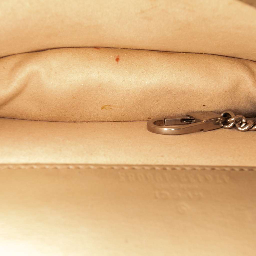 Gucci Mini GG Supreme Dionysus Crossbody Brown Canvas Good condition - Model View