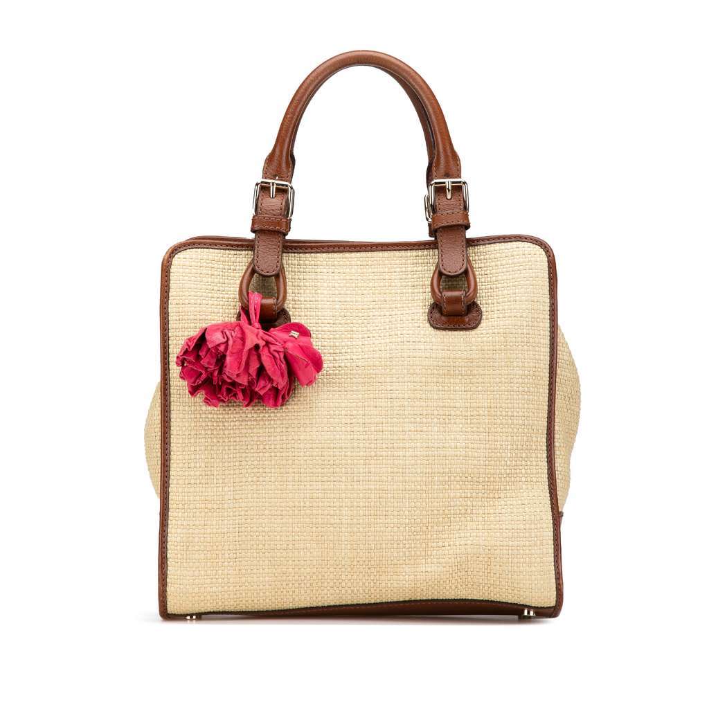 Celine Straw Handbag Brown Very good condition - Front View