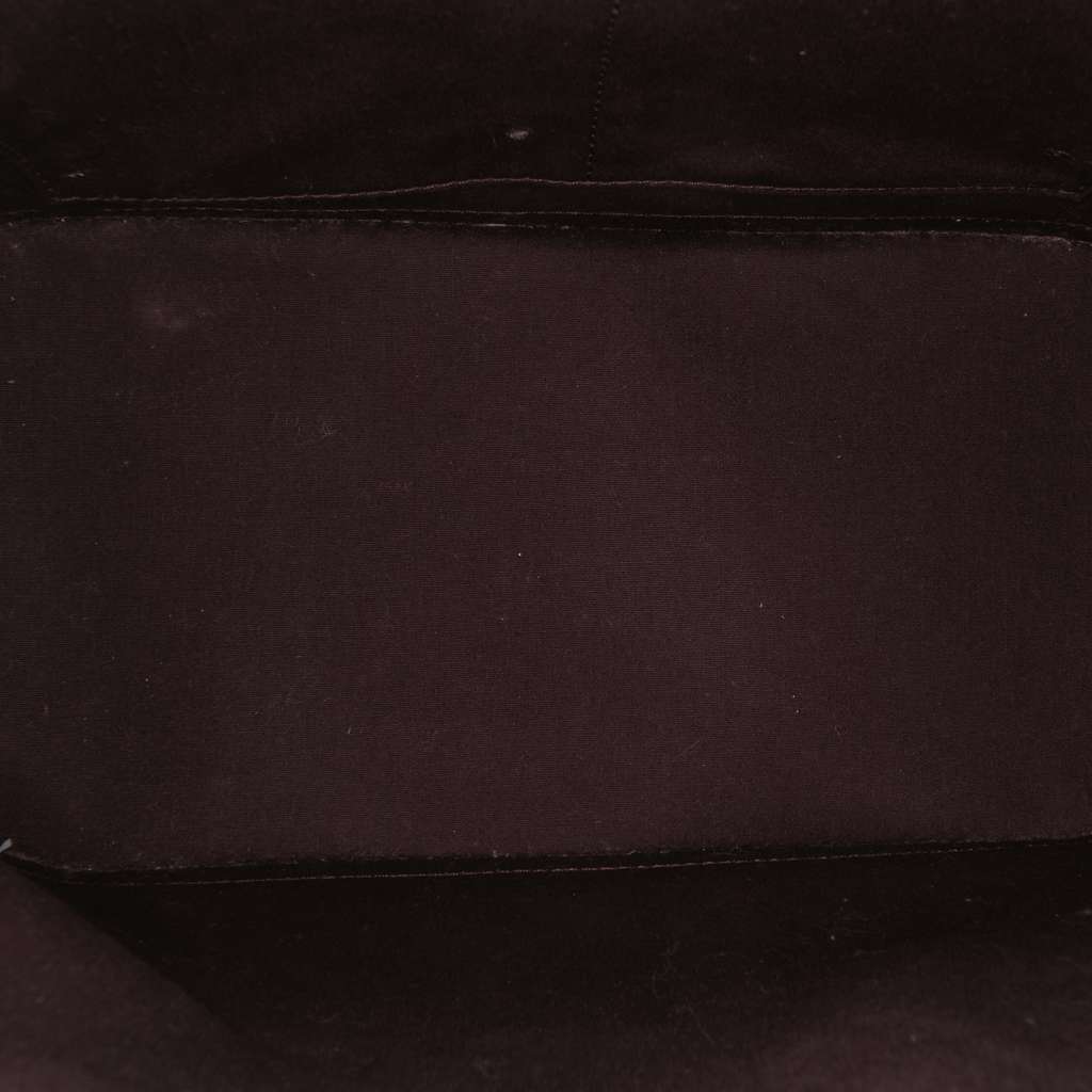 Louis Vuitton Monogram Vernis Alma PM Purple Leather Good - Model View