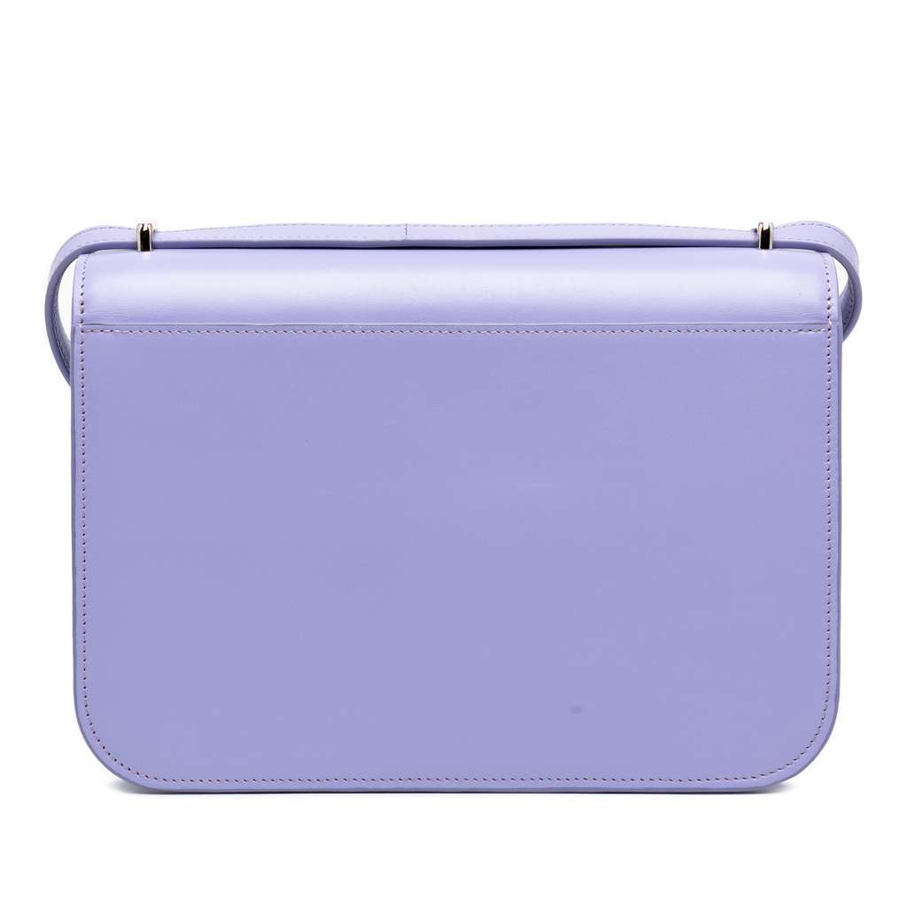 Loewe Medium Leather Goya Crossbody Purple Leather Very good - Back View