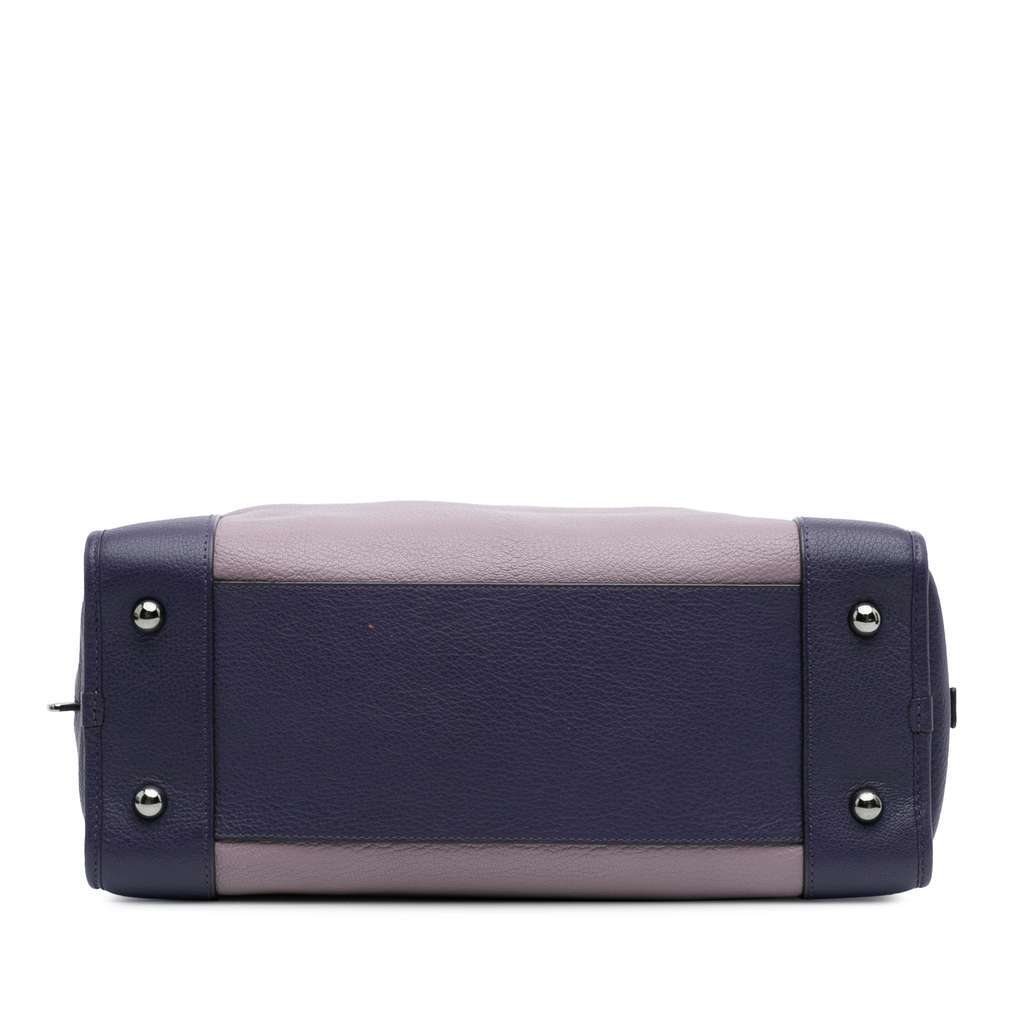 Loewe Tricolor Goatskin Amazona 36 Purple Leather Good - Inside View