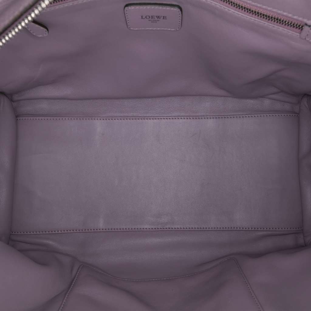 Loewe Tricolor Goatskin Amazona 36 Purple Leather Good - Model View
