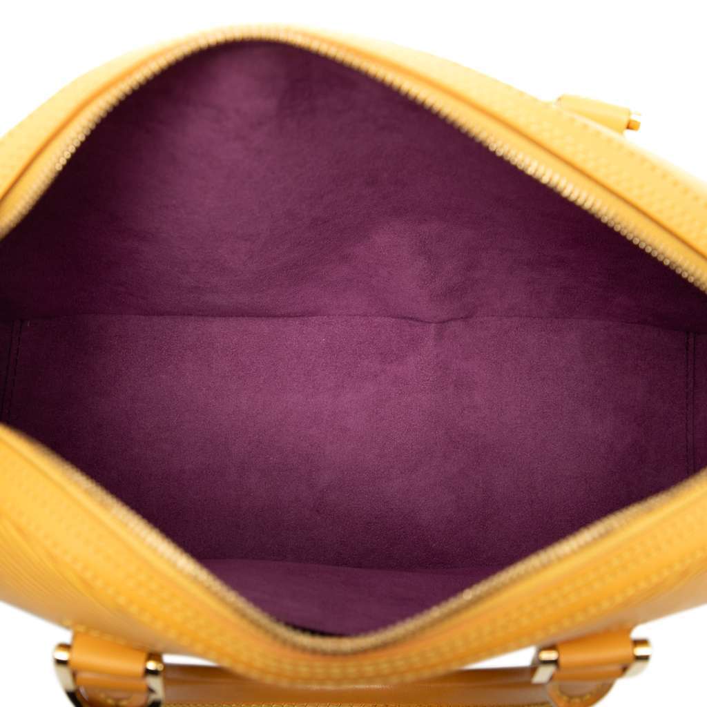 Louis Vuitton Epi Jasmine Yellow Leather Good - Model View