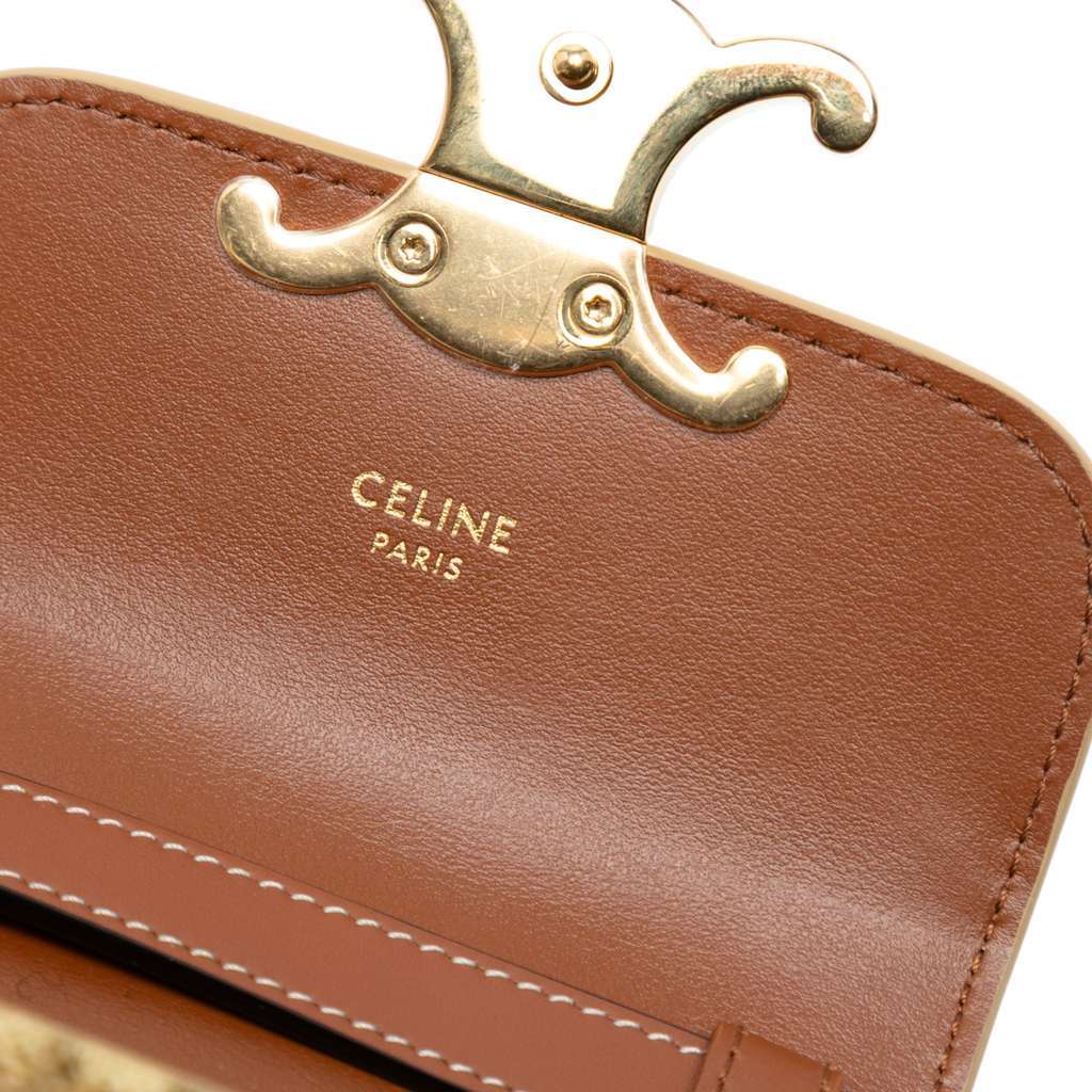 Celine Mini Calfskin Leopard Print Claude Crossbody Brown Leather Very good - Box View