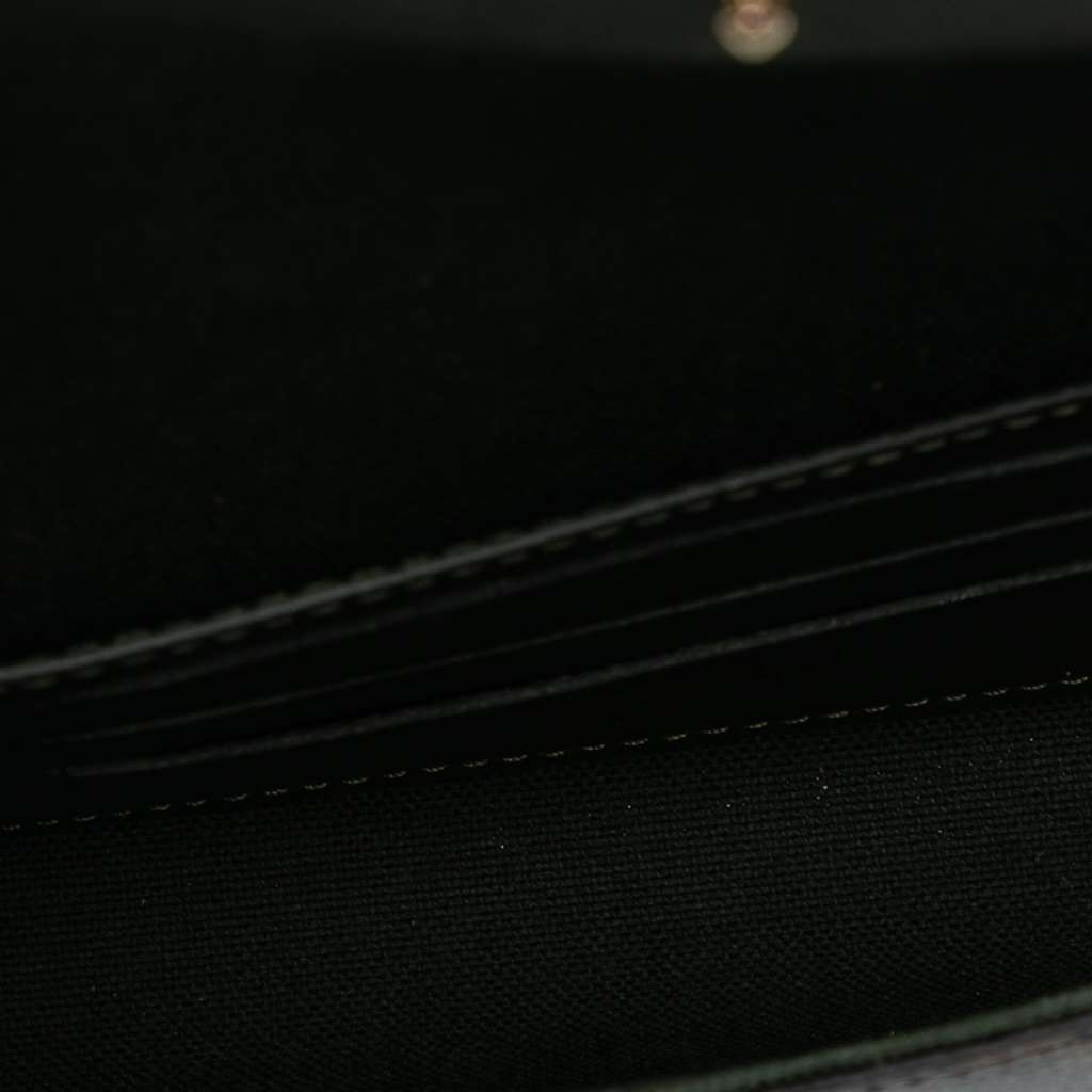 Louis Vuitton Monogram Felicie Strap And Go Brown Good - Model View