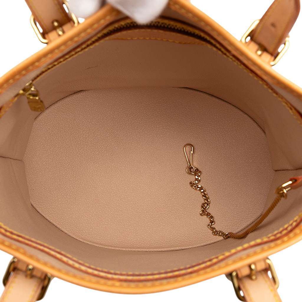 Louis Vuitton Monogram Petit Bucket Brown Good - Model View