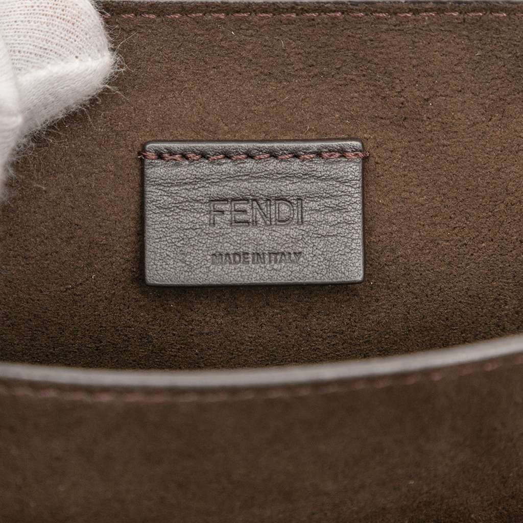 Fendi Leather Crystal Fab Crossbody Brown Leather Good condition - Box View