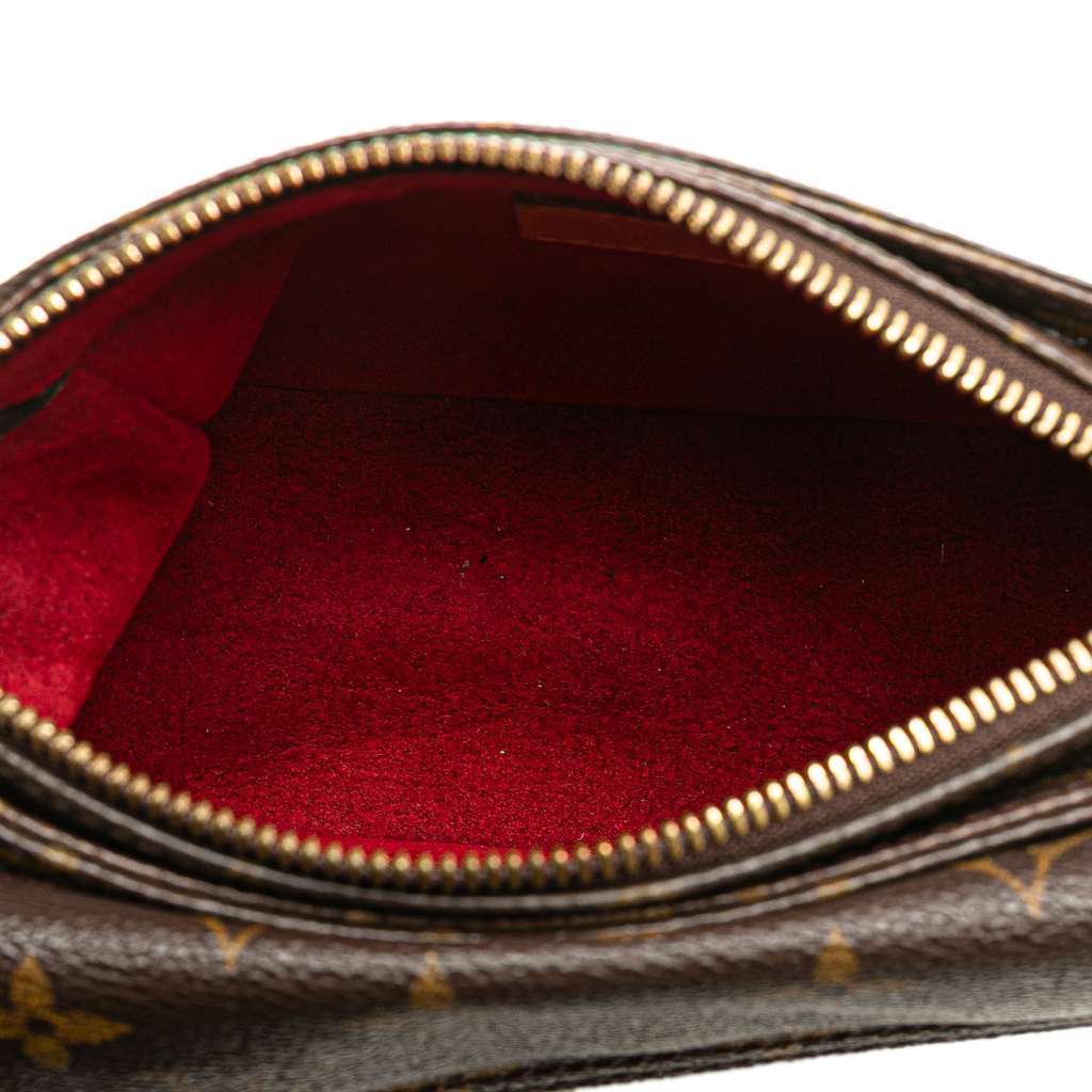 Louis Vuitton Monogram Viva Cite PM Brown Very good condition - Model View