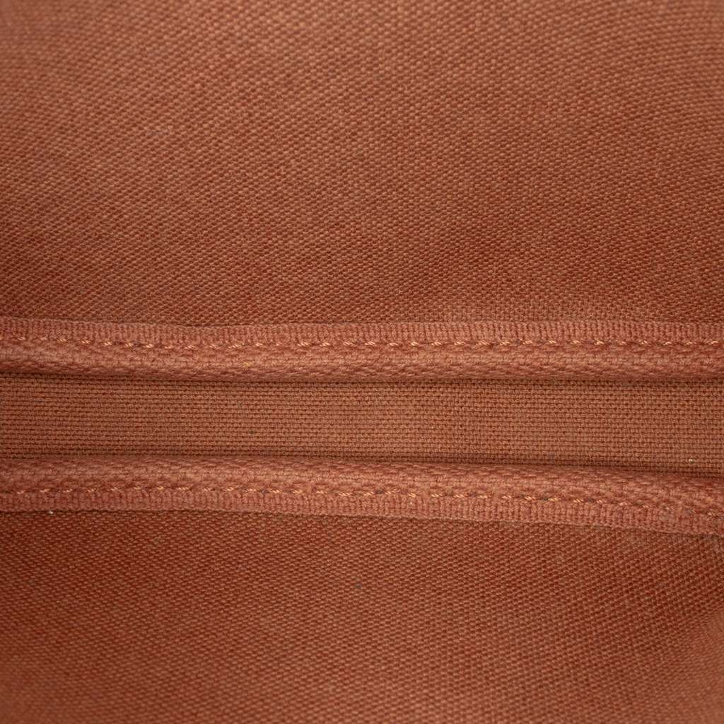 Louis Vuitton Monogram Giraffe Christmas Mini Pochette Accessoires Brown Good - Model View
