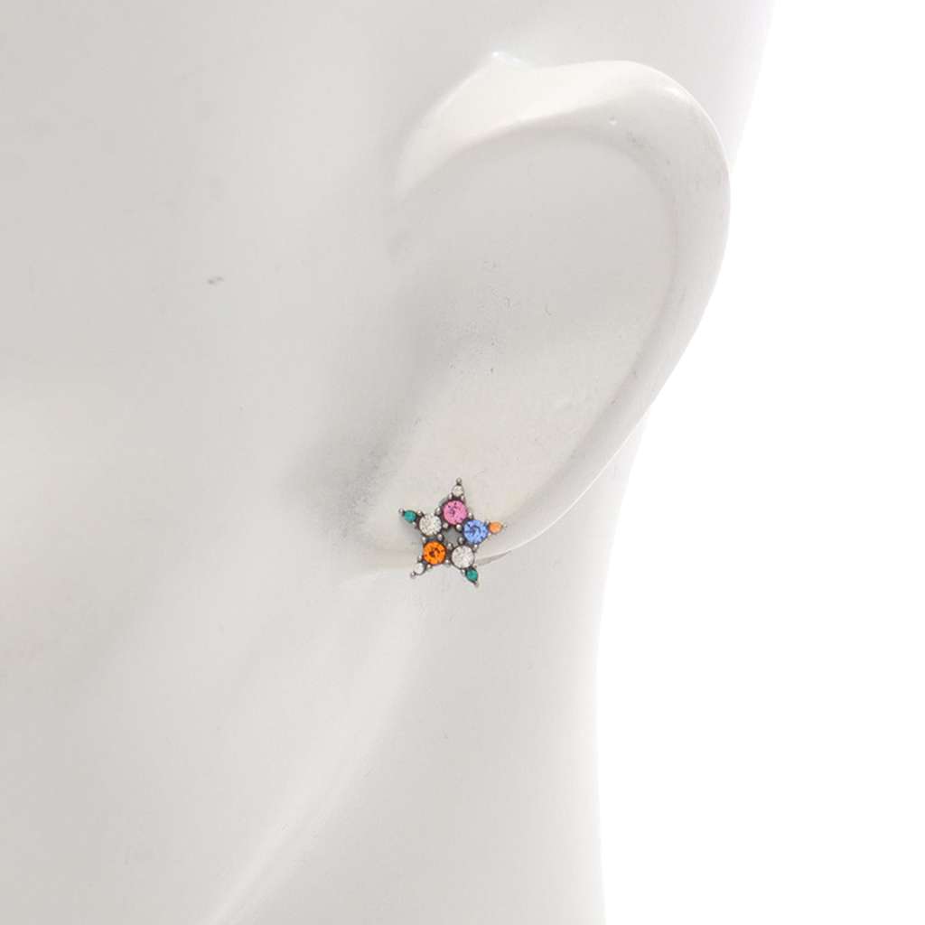 Dior Stainless Steel Multicolor Rhinestone Star and CD Logo Earrings Silver Stainless steel Good condition - Box View
