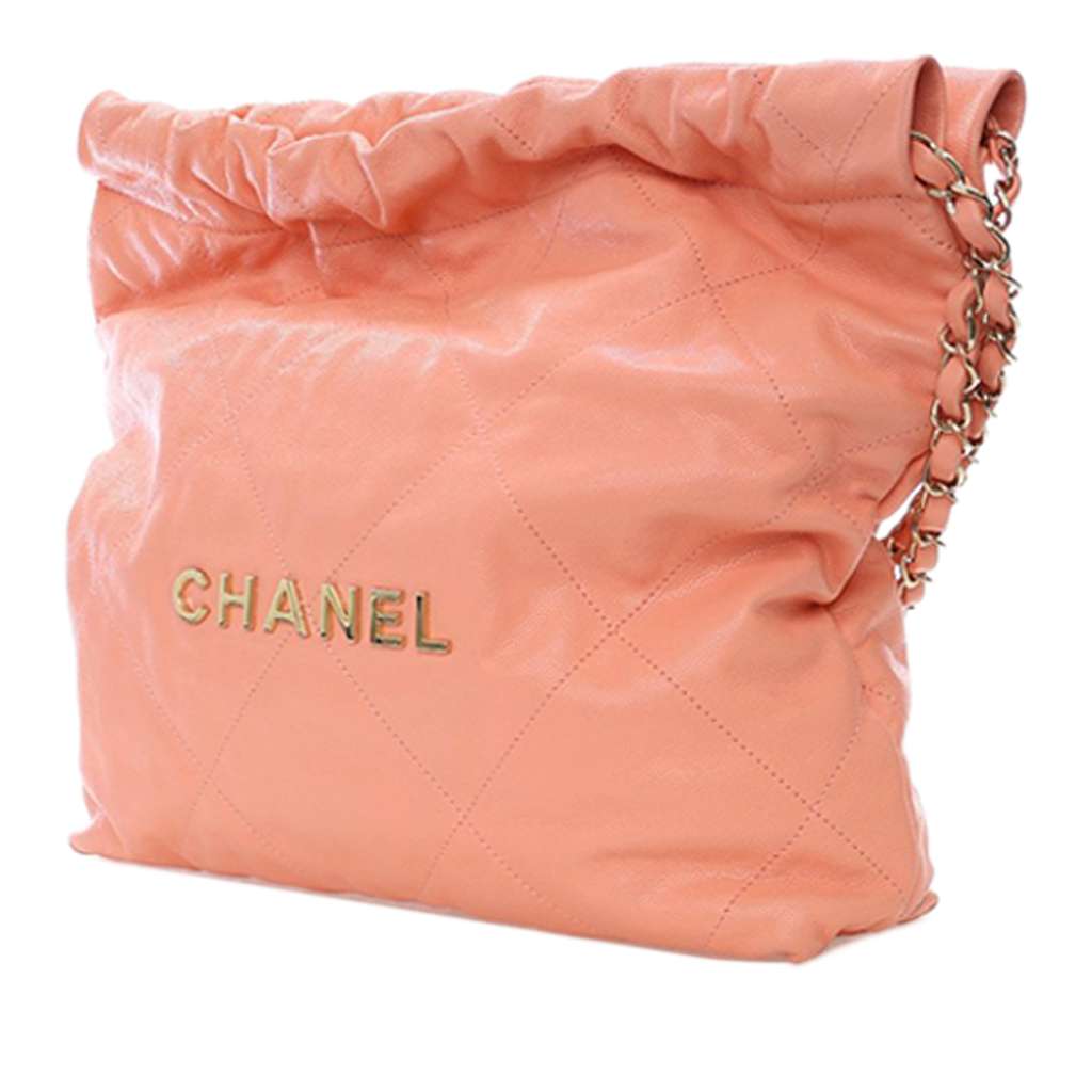 Chanel Small Quilted Caviar 22 Hobo Pink Leather Good condition - Back View