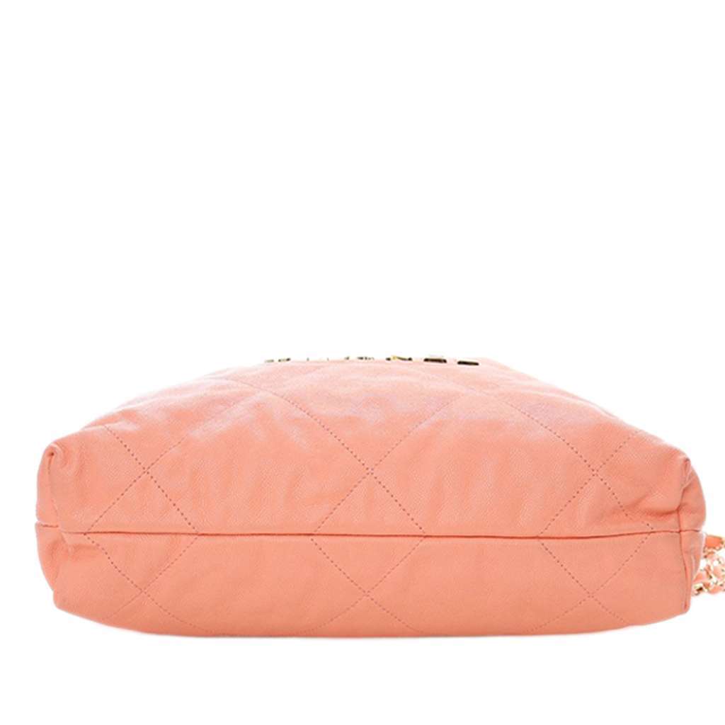 Chanel Small Quilted Caviar 22 Hobo Pink Leather Good condition - Box View