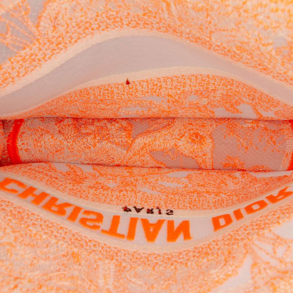 Dior Mini Canvas Embroidered Dioriviera Toile De Jouy Book Tote Orange Canvas Very good - Model View