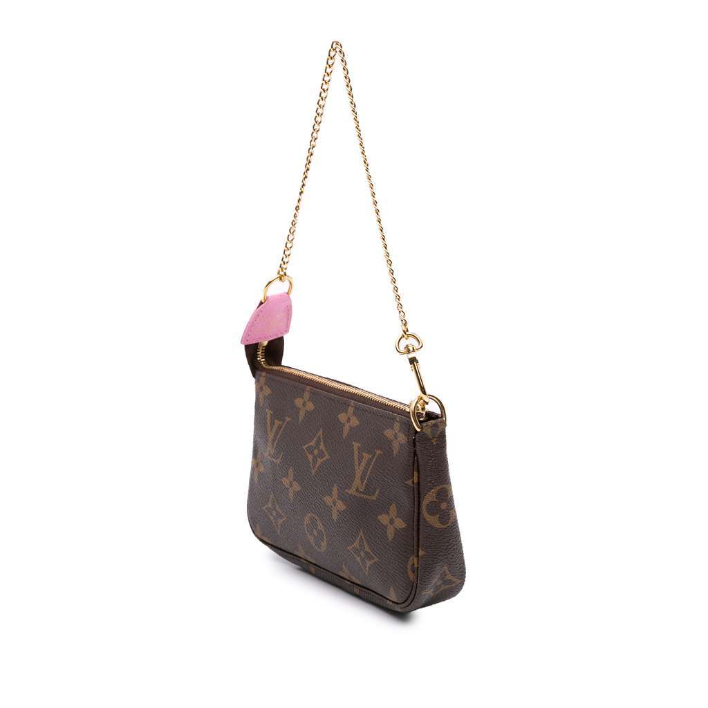 Louis Vuitton Monogram Vivienne in Paris Mini Pochette Accessoires Brown Very good condition - Back View
