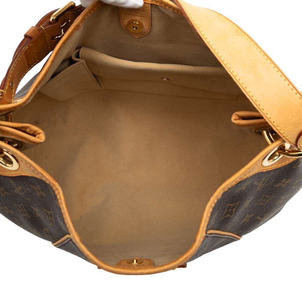 Louis Vuitton Monogram Galliera PM Brown Good - Model View