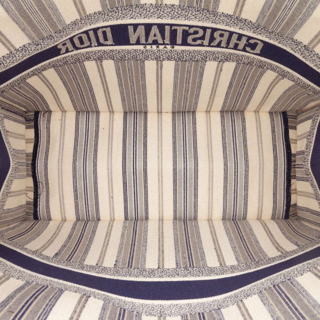 Dior Large Canvas Striped Book Tote Blue Canvas Good - Model View