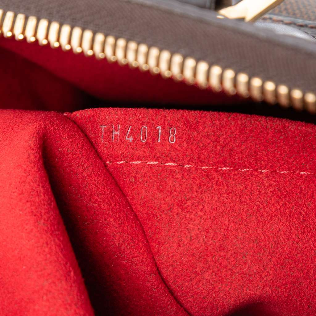 Louis Vuitton Damier Ebene Trevi PM Brown Very good - Box View