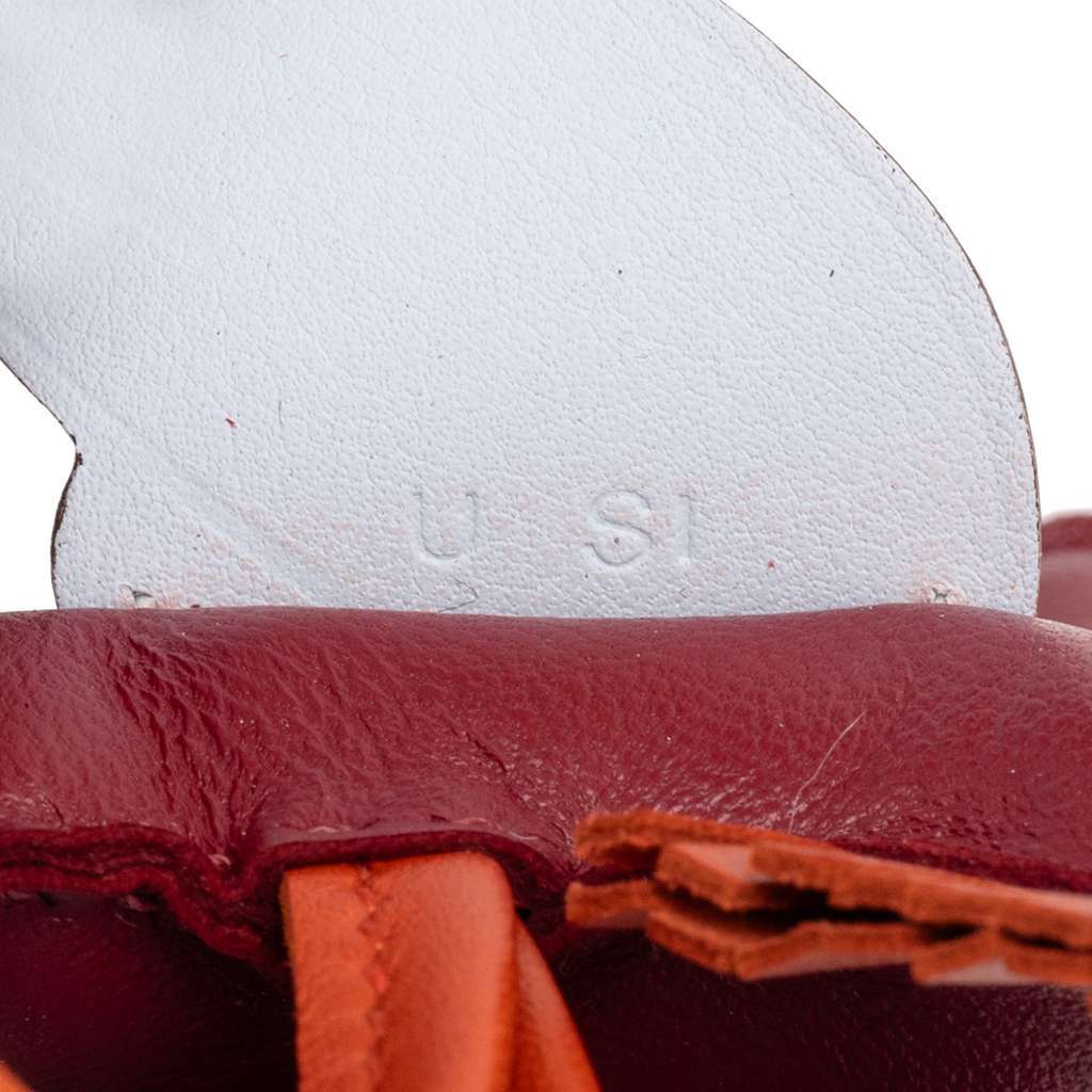 Hermès Milo Lambskin and Swift Grigri Rodeo Pegase Bag Charm PM Red Leather Very good condition - Model View