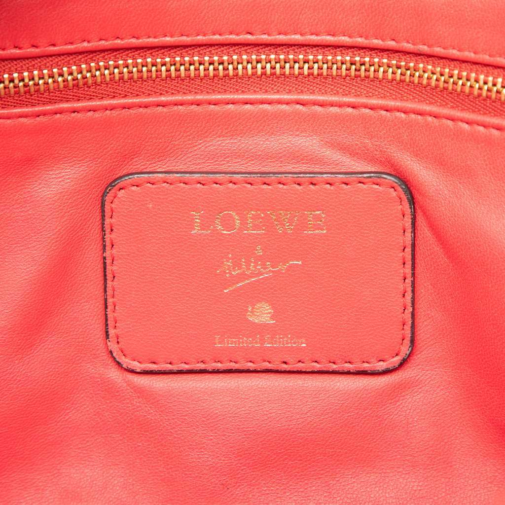 Loewe Limited Edition Goatskin Amazona 28 Red Leather Good - Box View