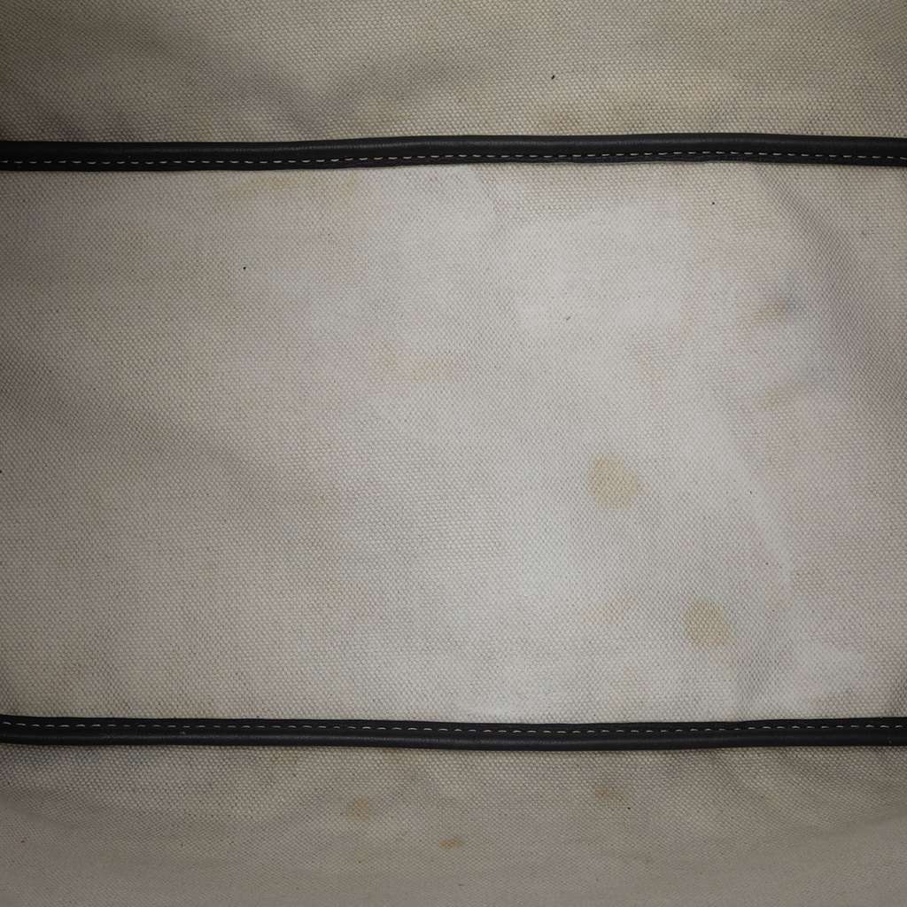 Goyard Goyardine Saint Louis PM Grey Canvas Very good condition - Model View