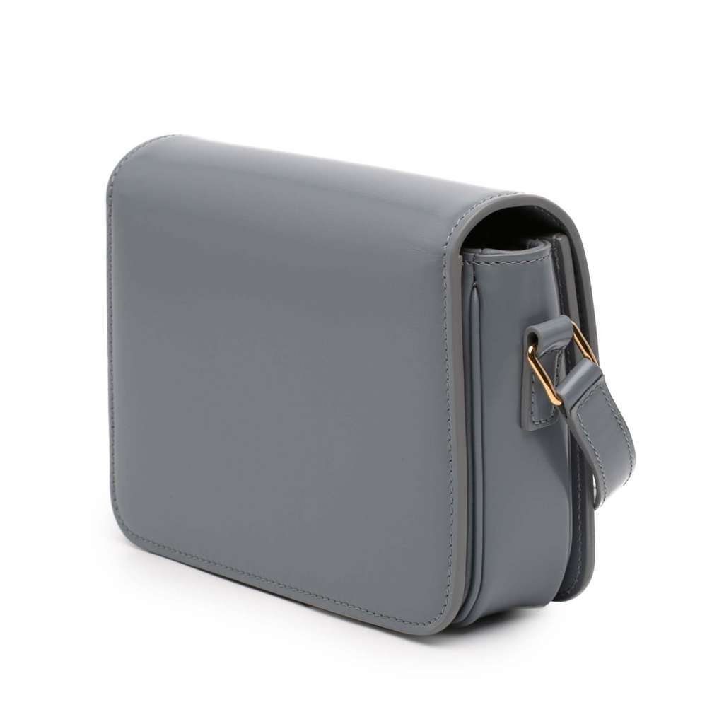 Celine Teen Shiny Calfskin Triomphe Crossbody Grey Leather Good condition - Back View