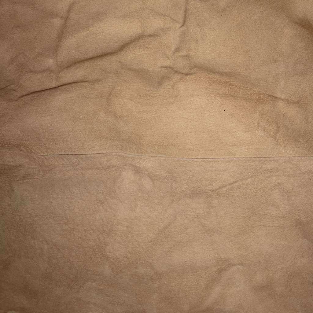 Gucci Leather Tote Brown Leather Very good condition - Model View