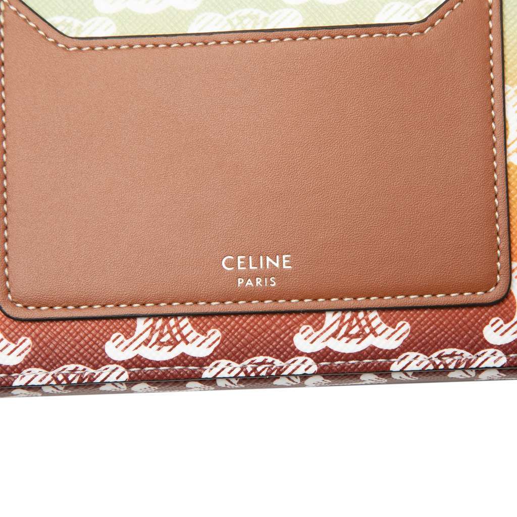 Celine Triomphe Coated Canvas Sunset Logo Horizontal Pouch Brown Canvas Very good - Box View