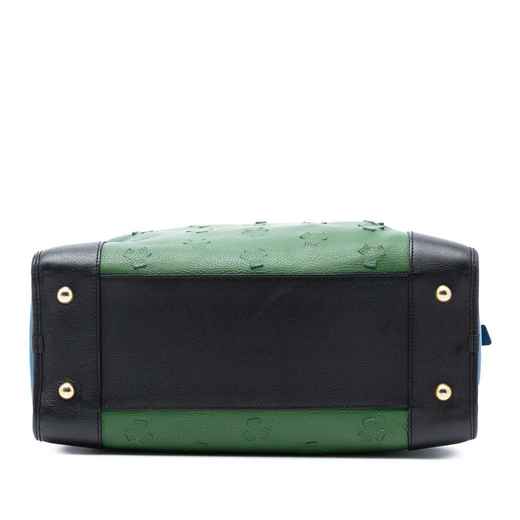 Loewe Limited Edition Leather Amazona 36 Green Leather Good condition - Inside View