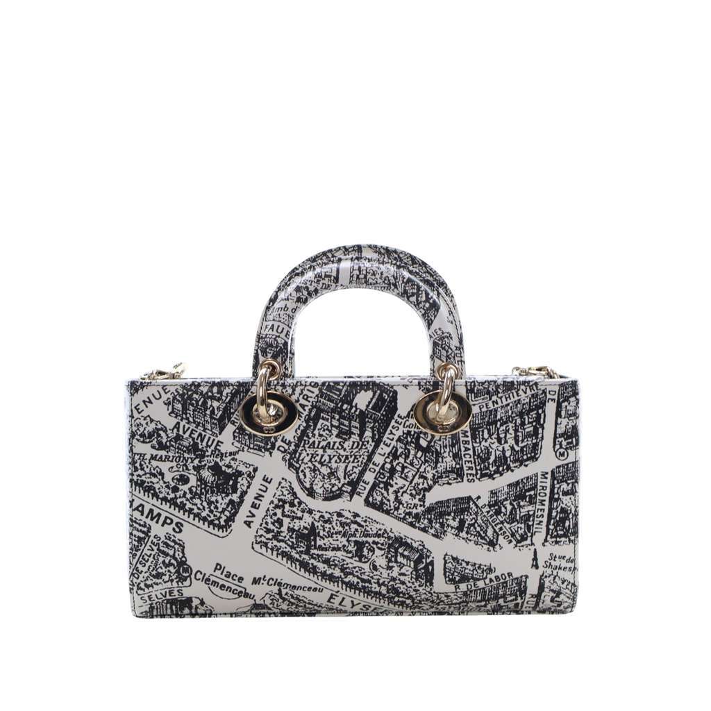 Dior Medium Calfskin Plan De Paris Printed Lady D Joy White Leather Very good - Model View
