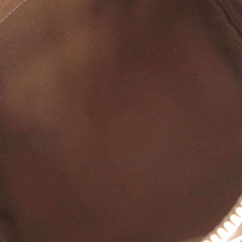 Louis Vuitton Monogram Speedy 25 Brown Very good - Model View