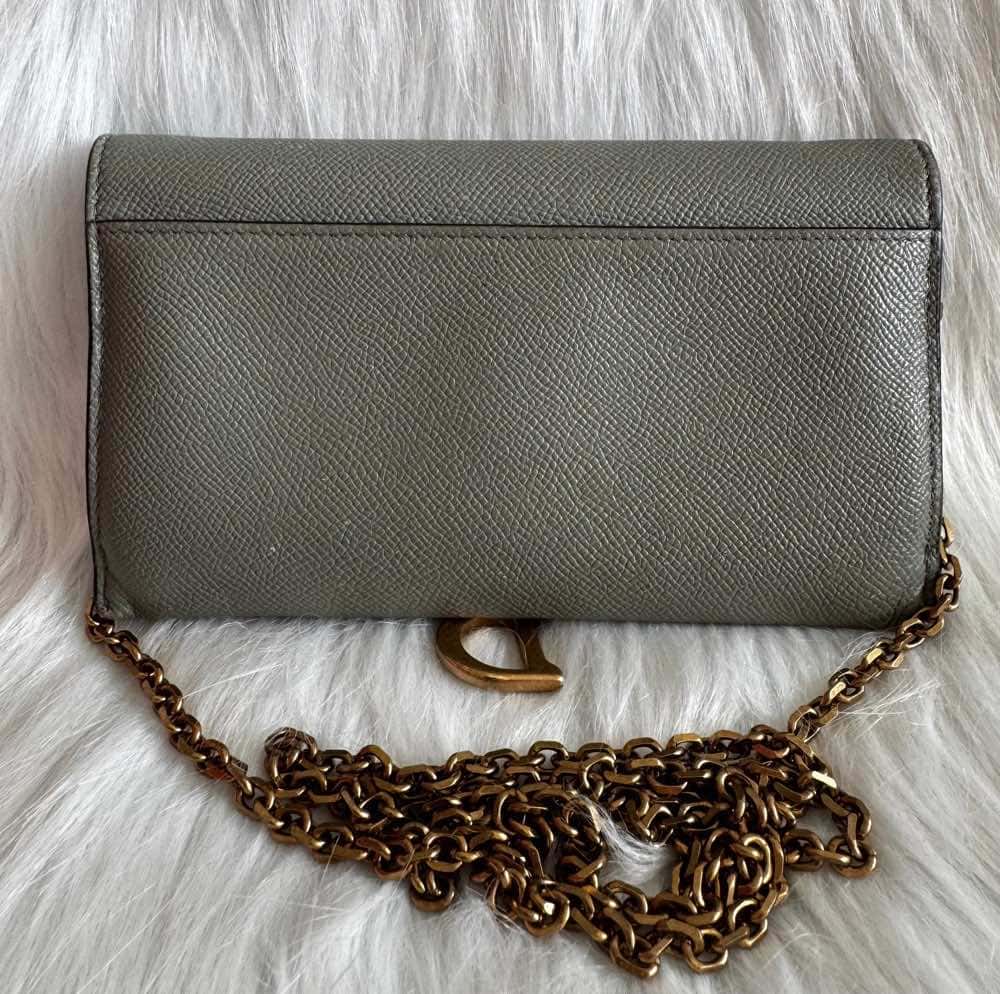 Dior Saddle WOC Grey Leather Good - Back View