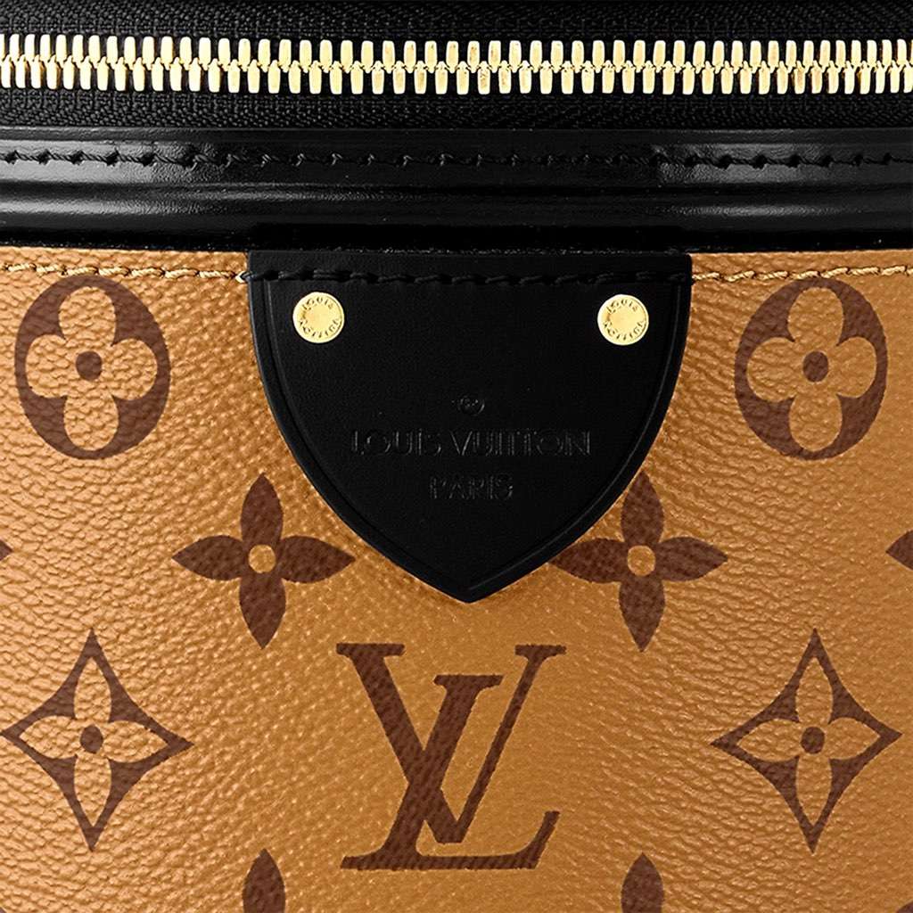 Louis Vuitton Louis Vuitton Cannes Reverse Monogram Black and Brown Bucket Bag Brown Canvas Very good condition - Model View