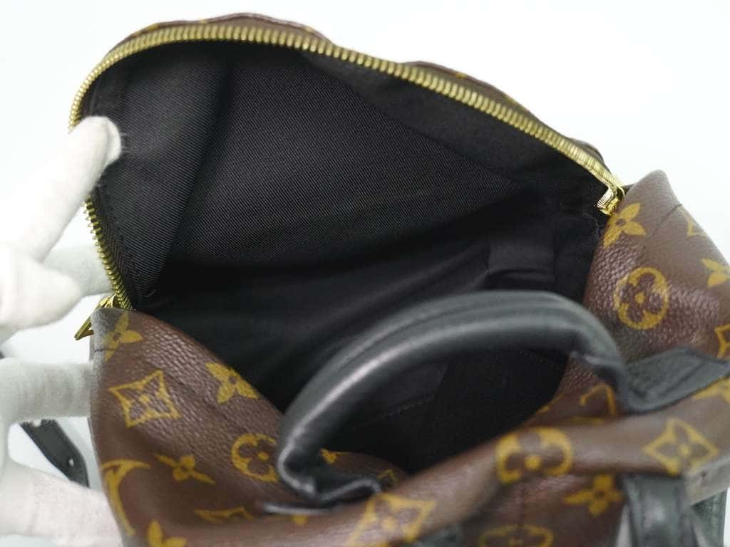 Louis Vuitton Palm Springs Backpack Brown Canvas Good condition - Model View