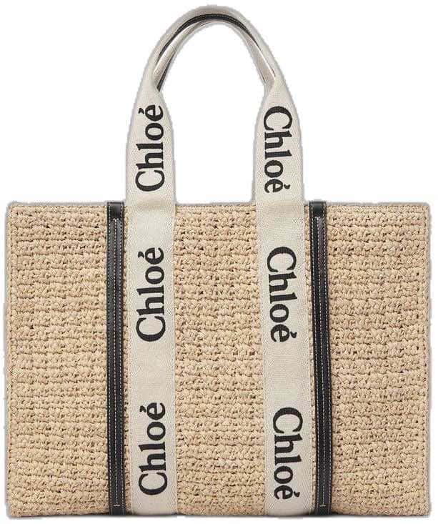 Chloé Woody Beige Good condition - Back View