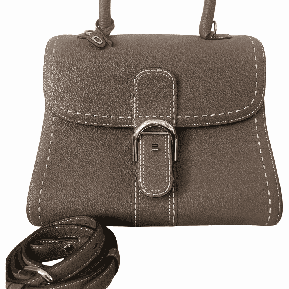 Delvaux MM Brillant Supriquè Grey Leather Palladium Very good condition - Front View