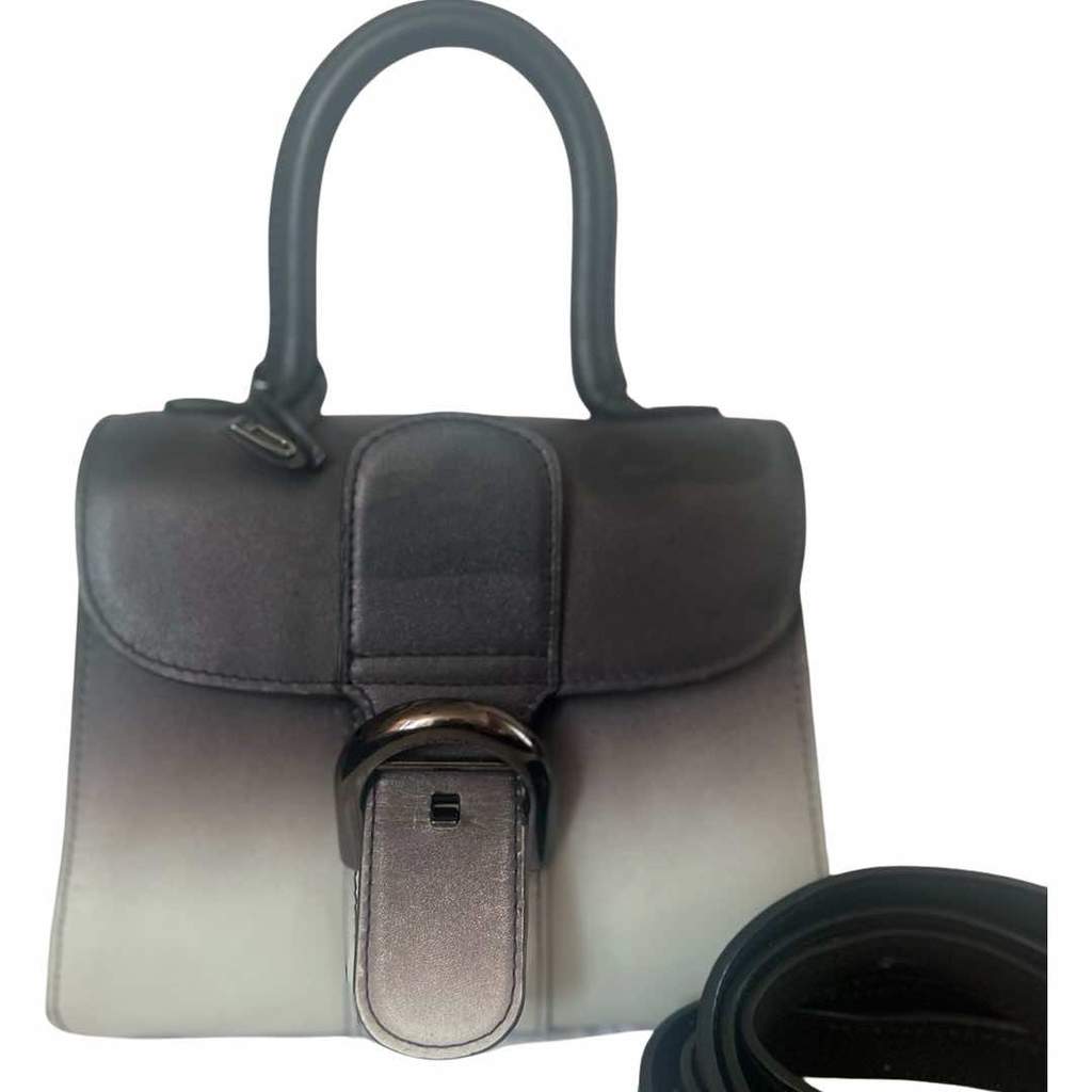 Delvaux Limited Ed. Mini Nuance