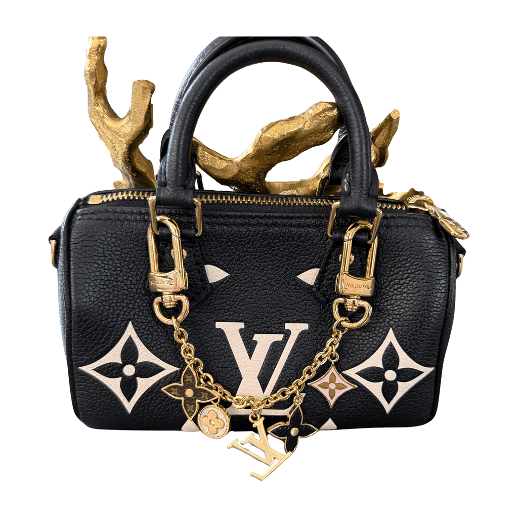 Louis Vuitton Speedy Mini Black Leather Gold Never worn - Front View