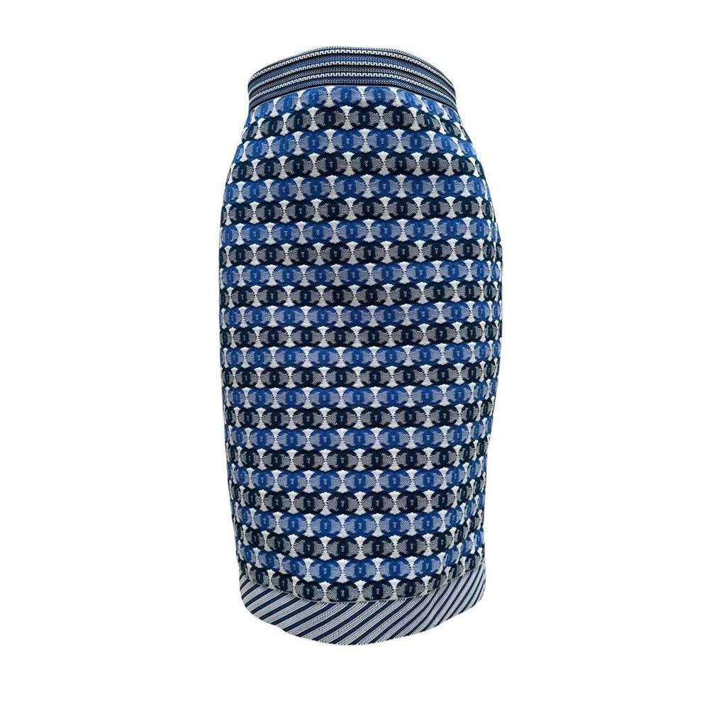 Chanel Chanel 2019 Pre-Spring Blue & White CC Logo Knee Skirt Sz 40 pre-owned White Good condition - Front View